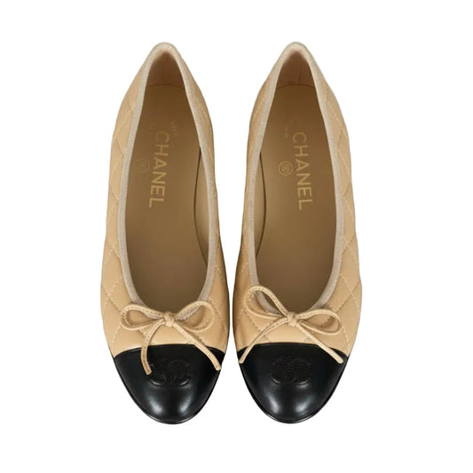 Castelano Ballerinas
